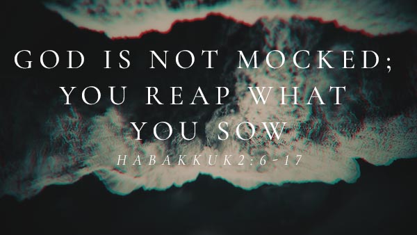 God is Not Mocked; You Reap What You Sow
